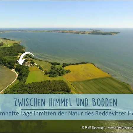 Holla Boddenfee Im Hoefthus Meerblick Naturstrand Hunde Willkommen Alt Reddevitz