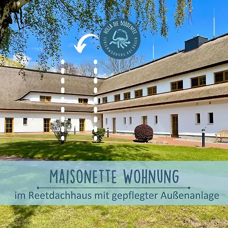 Hoefthus 9 Holla Boddenfee Meerblick Terrasse Mit Hund Geniessen * Alt Reddevitz