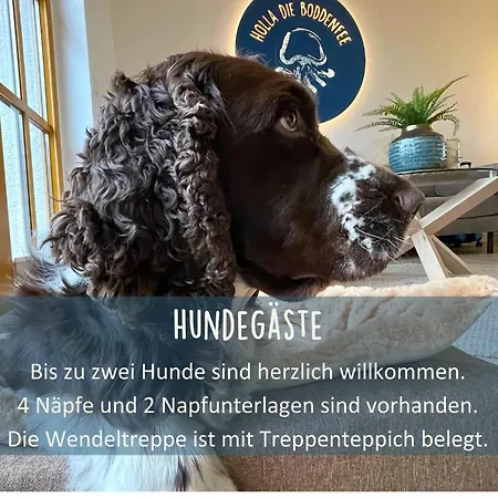 Holla Boddenfee Im Hoefthus Meerblick Naturstrand Hunde Willkommen 奥特里德维茨