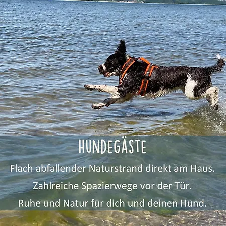 Holla Boddenfee Im Hoefthus Meerblick Naturstrand Hunde Willkommen