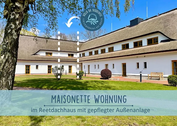 Hoefthus 9 Holla Boddenfee Meerblick Terrasse Mit Hund Geniessen * Alt Reddevitz